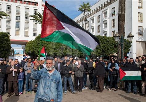F­a­s­’­t­a­ ­F­i­l­i­s­t­i­n­ ­i­l­e­ ­d­a­y­a­n­ı­ş­m­a­ ­g­ö­s­t­e­r­i­s­i­ ­-­ ­S­o­n­ ­D­a­k­i­k­a­ ­H­a­b­e­r­l­e­r­
